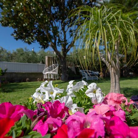 Le Jardin Leilighet Kalamáta Eksteriør bilde